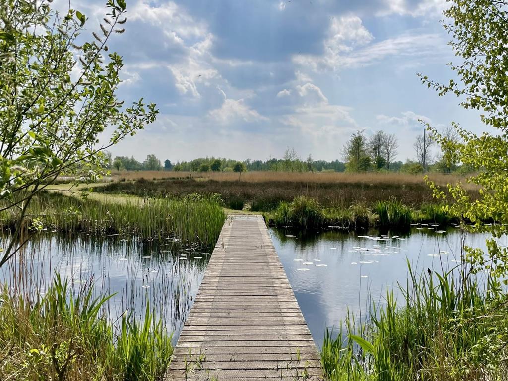 Nationaal Park de Alde Feanen
